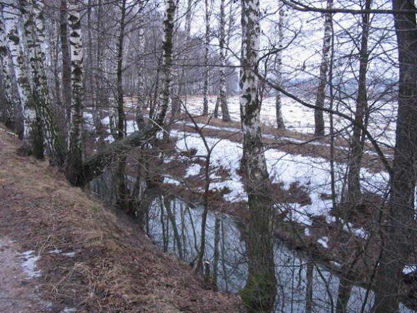 ров. рва 2 ые. эскарпы и контрэскарпы. ров с кольями фото. окопы великой отечественной войны.