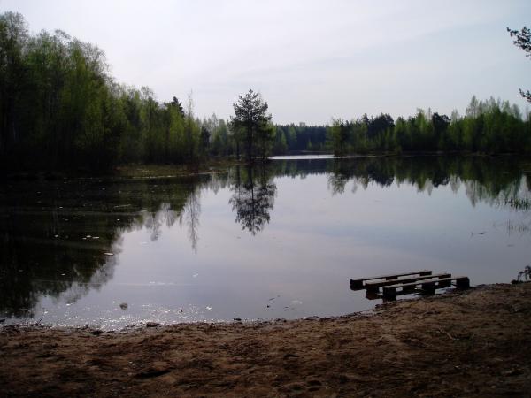 Озеро заводское Белоостров