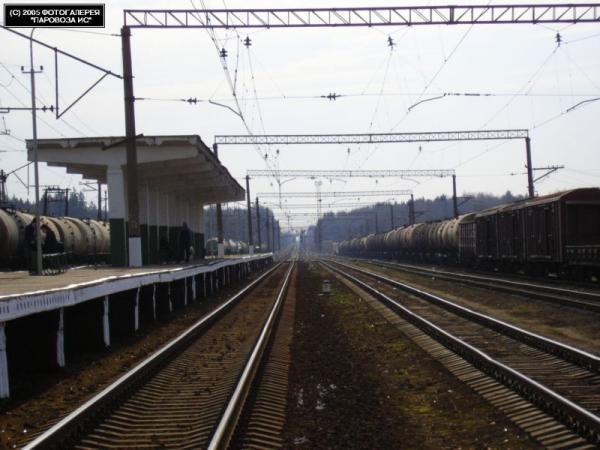 Можайск петелино Можайск петелино