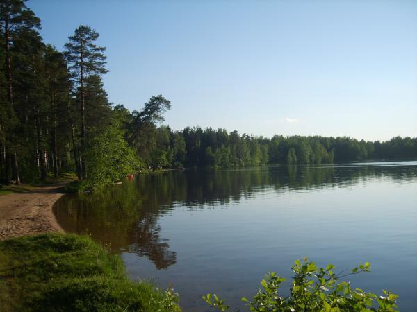 Ждановские озера во всеволожске