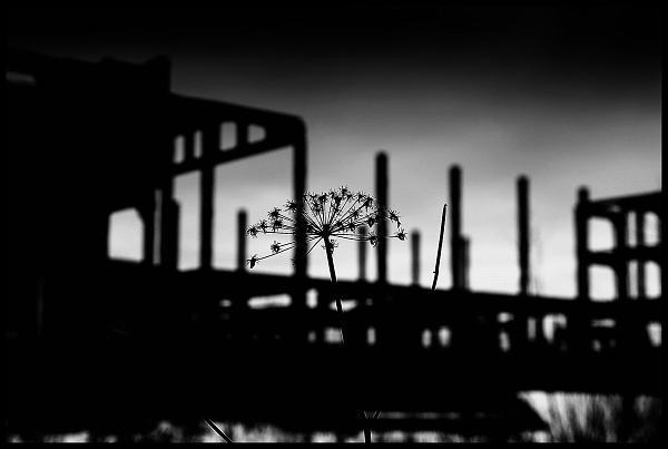 Заброшенная Северная водопроводная станция — площадка II подъёма — 3-я ...