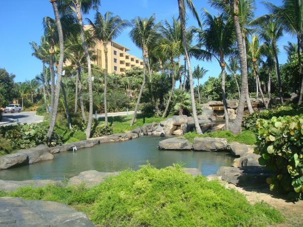Resort Resort