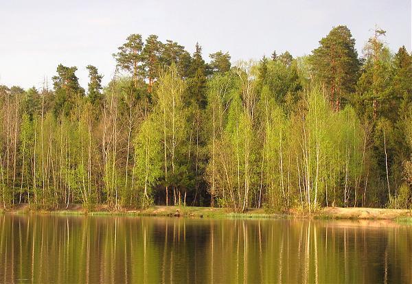 ближнее озеро. ближайшие озера есть. ближайшие озера есть. семиозерье карелия. озеро варех.