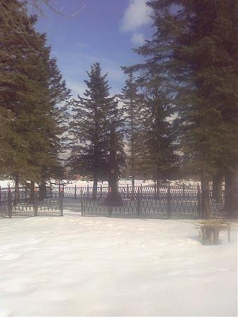 Zoya Kosmodemyanskaya S Place Of Execution Petrishchevo Zoya Kosmodemyanskaya S Place Of Execution Petrishchevo
