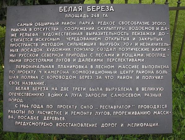 Карта белая березка
