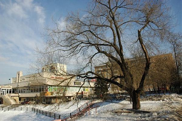 Кинотеатр баку в москве