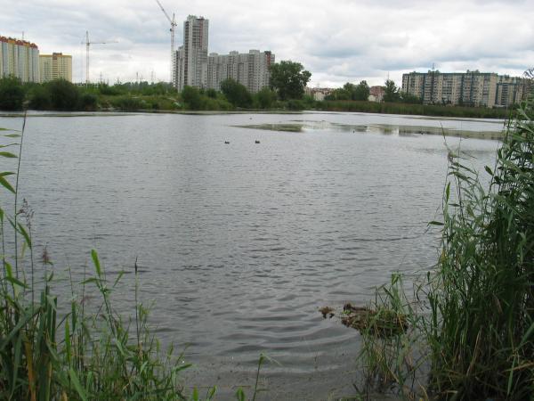 Озеро долгое спб. Озеро долгое Санкт-Петербург. Парк озеро долгое Приморский район. Озеро долгое Химки. Озеро долгое Кировский район.