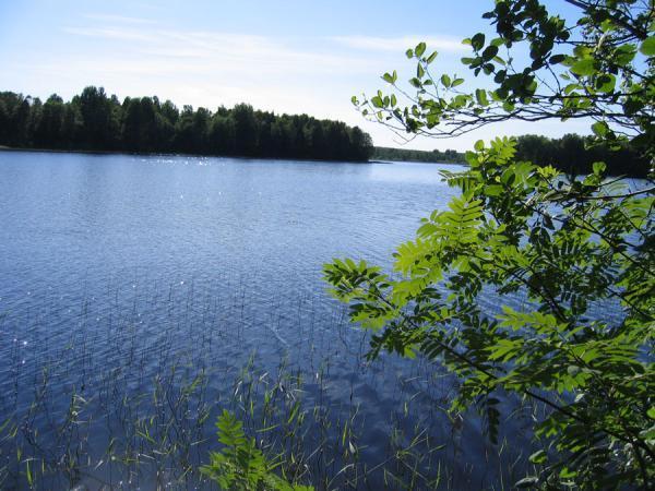 Пионерское озеро ленинградская область