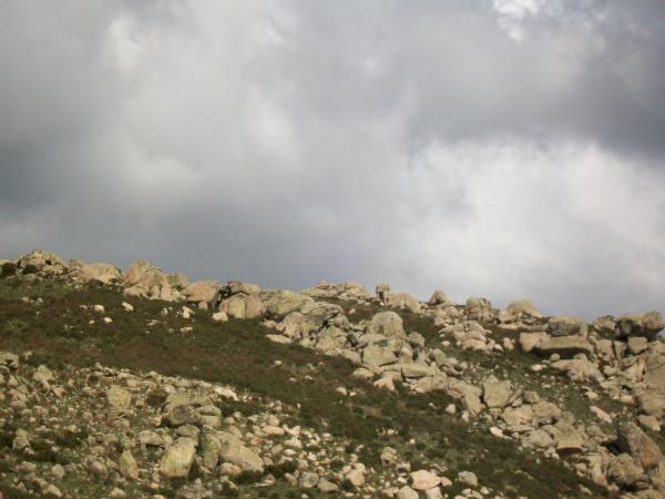 Monte Eccas (isoipse 760 m slm)