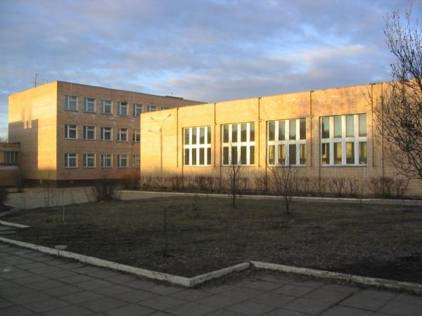 Сайт гимназии щелково. 6 Школа Щелково. Гимназия 6 Щелково. Щелково город гимназия.
