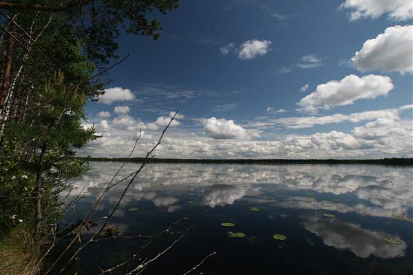 Озеро Суровское в Ленинградской области: информация для рыбаков