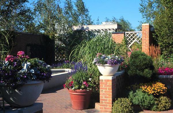 Chicago Botanic Garden - 47 Big 