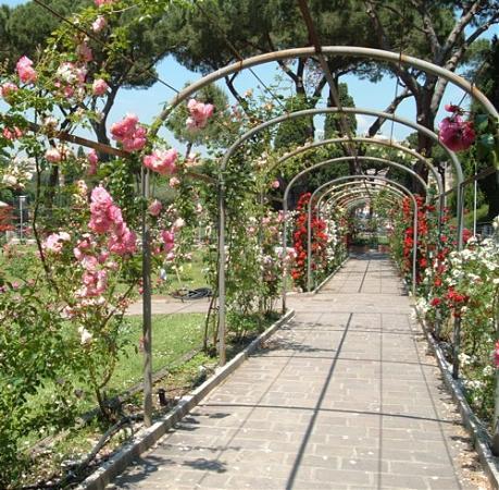 Rose Garden Comunale - Rome