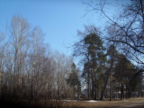 Козий парк ижевск карта