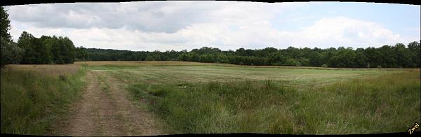 Poplar ford park fairfax county #8