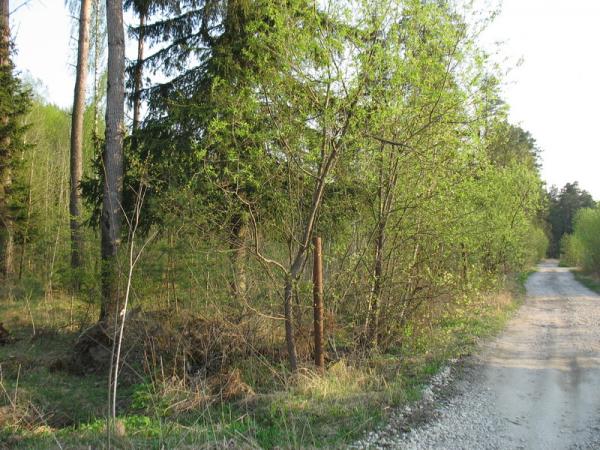 Снт Осинка Купить Участок