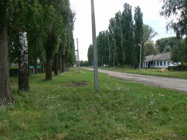 Прогноз погоды совхозный. Прогноз погоды совхозный