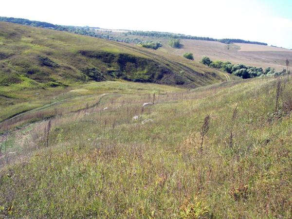 каменный овраг пензенская область. пензенская каменный овраг. каменный овраг неверкинский район пензенская область. церковь в каменном овраге неверкинского района. храм михаила архангела в селе каменный брод.
