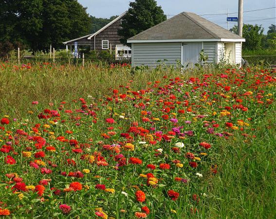 Wading River, New York