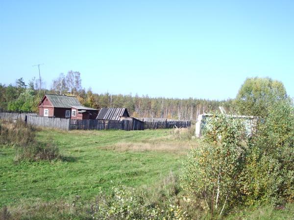 Пункта поселок. Поселок Тасинский Бор Гусь-Хрустального района. Посёлок Тасинский Владимирская область.