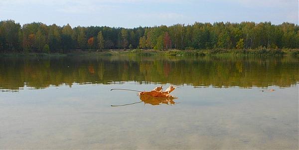 Озеро леданово монино фото