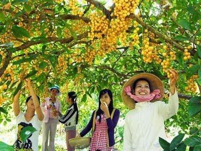 Lower U Minh National Park