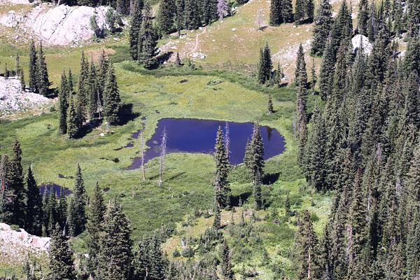 Dog Lake