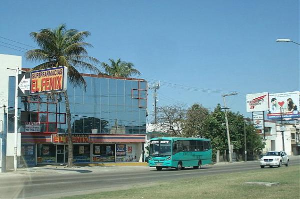 Farmacias El Fénix (Curva Texas) - Zona Metropolitana de Tampico