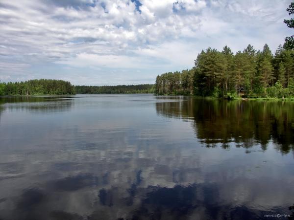Озеро затейливое в Ленинградской области: описание, местоположение, особенности