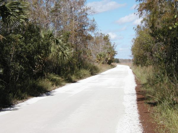 Fakahatchee Strand Preserve State Park