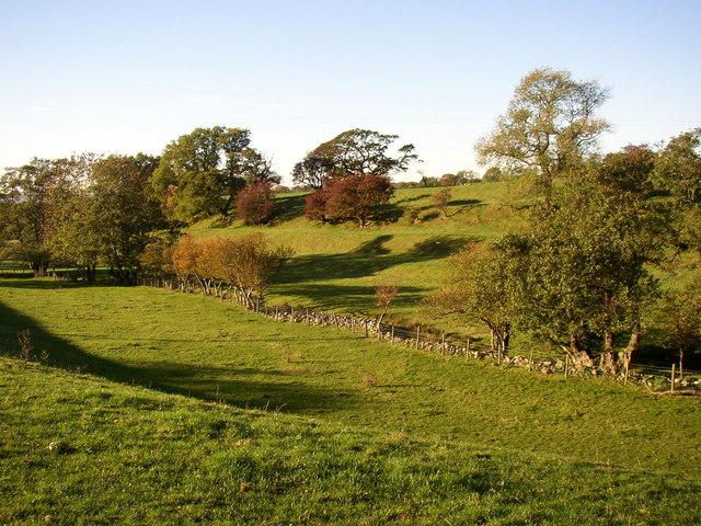 'Hanging Walls of Mark Anthony'