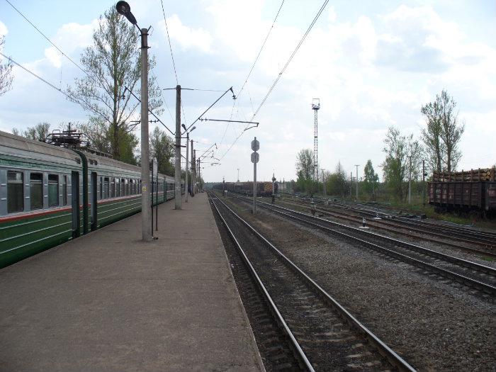 оредеж купчино сегодня