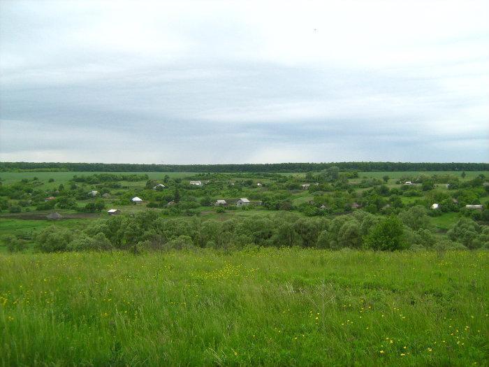 Село сухая. Гомольша сухая Харьковская. Село Гомольша. Змиевский р-н, с. сухая Гомольша. Харьковская область с. Гомольша.