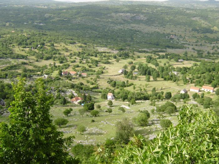 Milovići