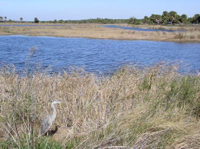 St. Marks National Wildlife Refuge