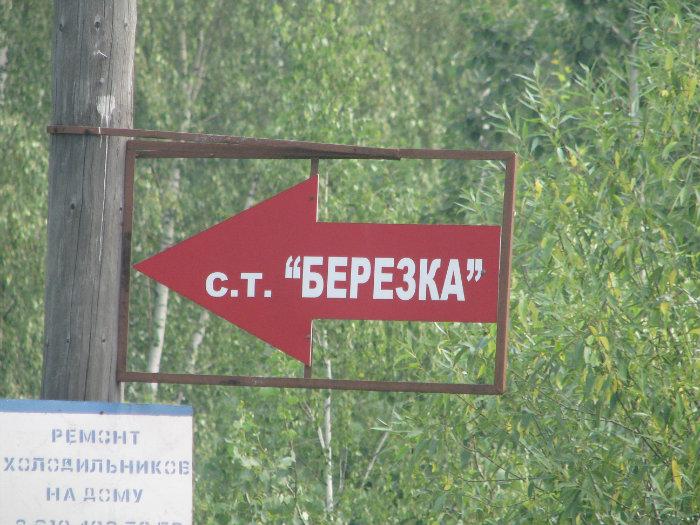 Снт березка. СНТ Березка Тюмень. СНТ Березка 1 Тюмень. СНТ Березка табличка. СНТ берёзка логотип.