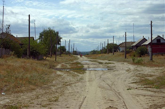 Деревня сосновка