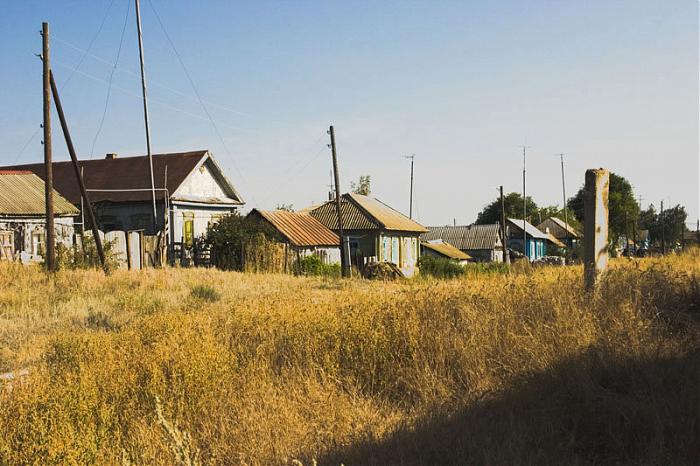 Село сосновка. Сосновка Котовский район. Волгоградская область село Сосновка Волгоградской области.