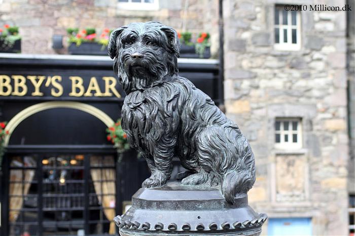 Bức tượng chú chó Greyfriars Bobby - Thành phố Edinburgh