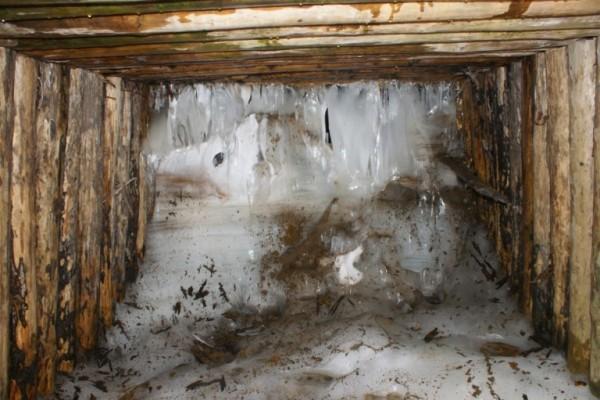 лагерь лазо для заключенных в карелии