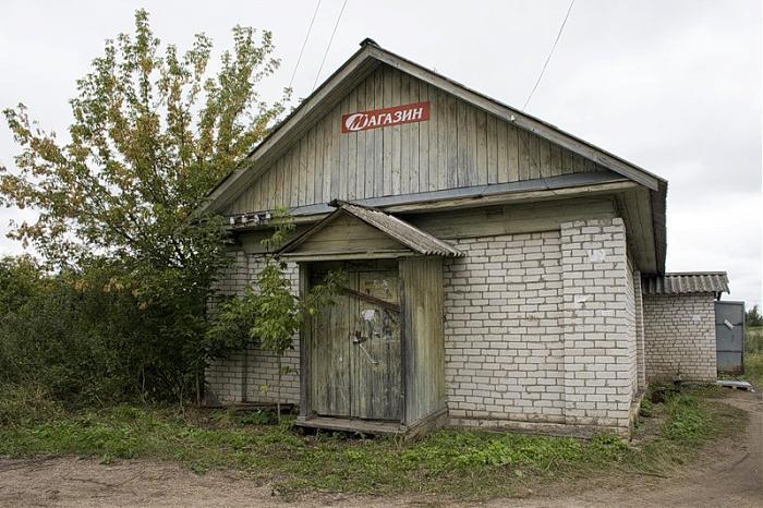 Ленинградская область федоровское фото