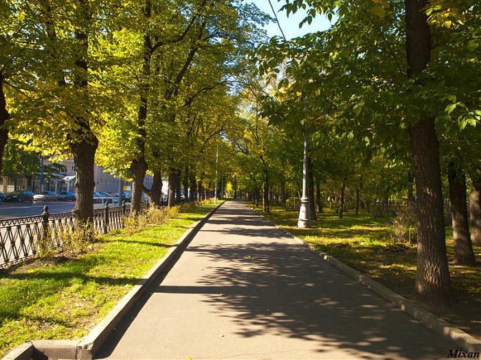 Сквер девичьего поля москва