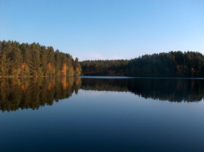 Озеро Большое Щучье в Ленинградской области: информация и рекомендации