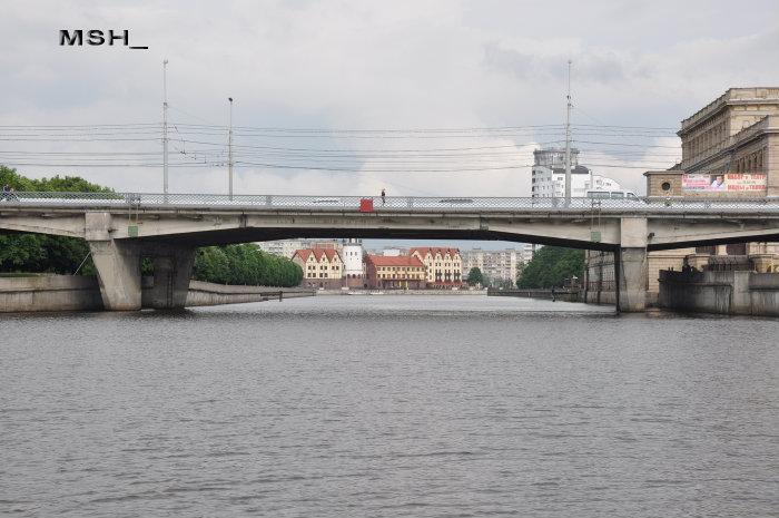 Эстакадный мост калининград