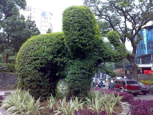Green elephant park