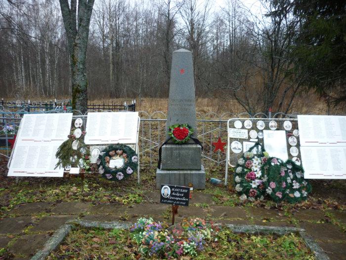 Сайт шала. Деревня шала Ленинградская область Братская могила. Назия Ленинградская область кладбище. Д Назия Ленинградской области захоронения. Шала деревня Ленинградская область.