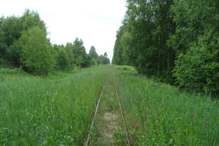 Дмитровский погост радовицкий мох. Узкоколейка Радовицкий мох. Радовицкий мох Шатурский район узкоколейка. Радовицкий торфоразработки. Торфяник Радовицкий мох.