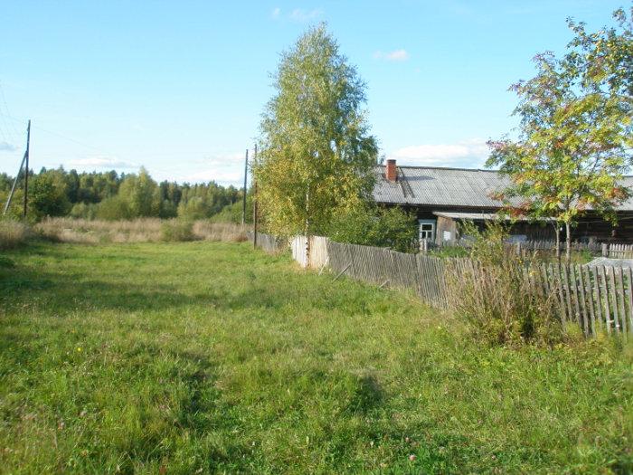 Погода новопокровское. Новопокровское Ветлужский район Нижегородская область. Село Новопокровское Нижегородская область Ветлужский район. Село Новопокровское Ветлужского района. Деревня Колеватовское Нижегородская область Ветлужский район.