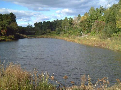 Наро фоминские пруды. Пруд в Наро-Фоминске. Любаново река Наро-Фоминск. Нарофоминские пруды. Афанасовский пруд Наро-Фоминск.