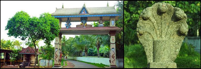  Vetticode  Sri Nagaraja  Temple  Kattanam